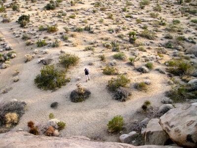 View from top of Indian Cove rocks with the trail on the left.