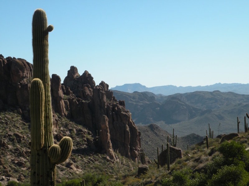 Along the Peralta Trail