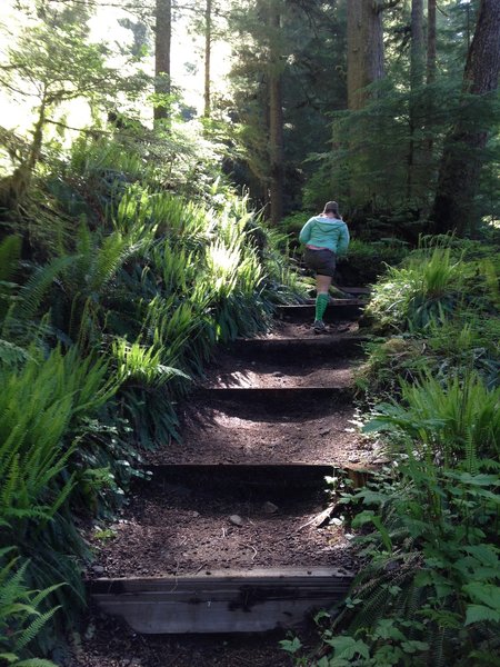 Going up the steep trail