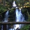 Waterfall just off the trail.