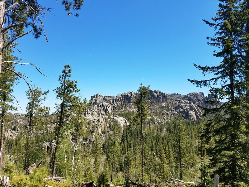 One of the first good views of Harney Peak from Trail #9.