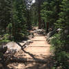 Well-maintained trail up to Ouzel Falls.