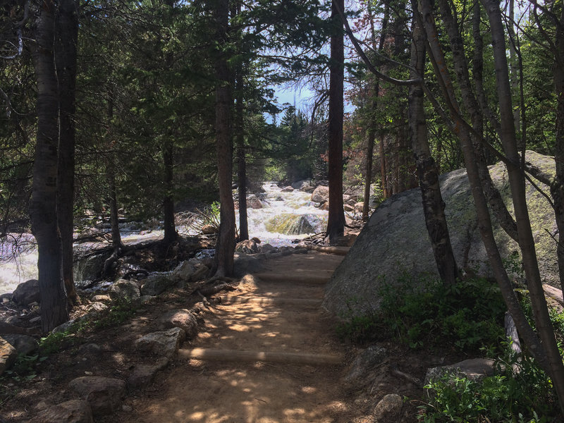 The Ouzel Fall's trail follows the Ouzel Creek up to the falls.