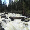 It feels like there are more than 3 defined waterfalls along this trail.