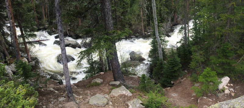 Ouzel Creek rushing with snow melt in June.