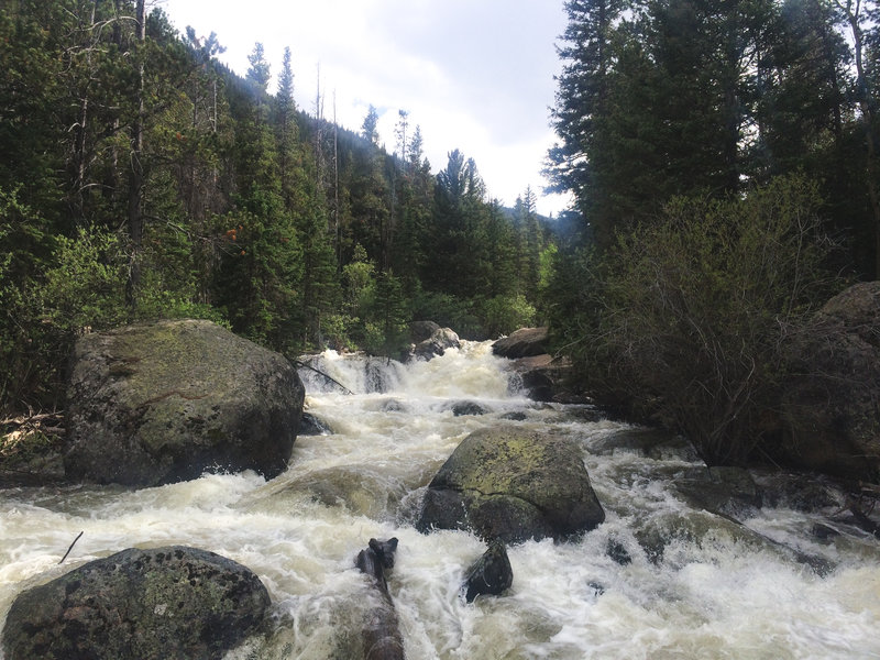 Copeland Falls, only 0.5 miles from the trailhead.