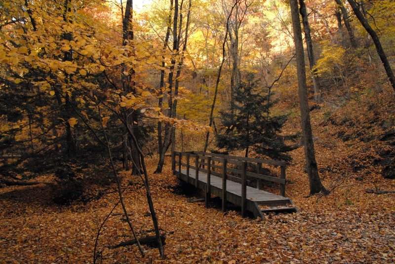 Bridge leading over a small creek.