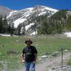 Looking across the meadow toward the summit.