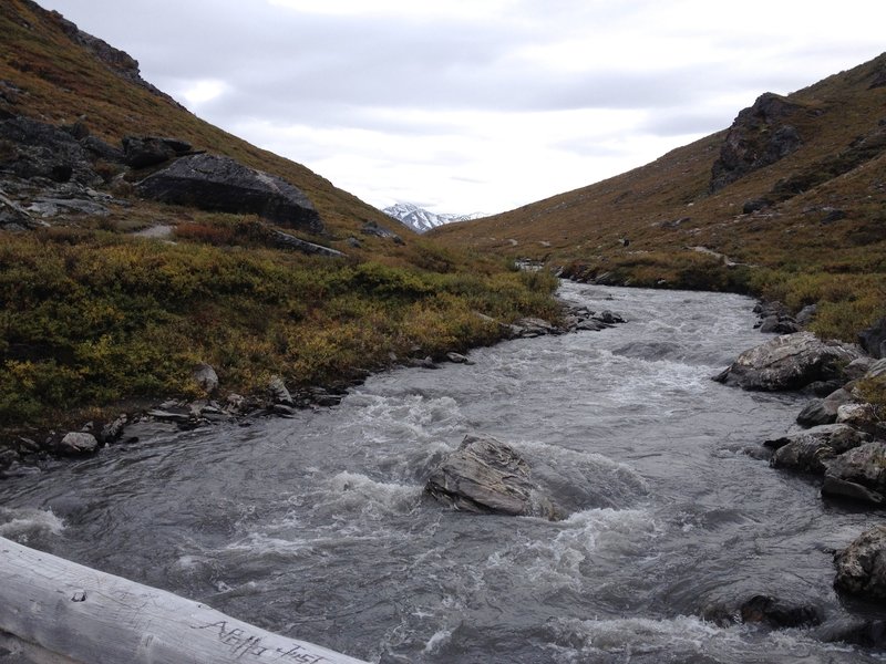 View from bridge crossing over Savage River, September 2015.