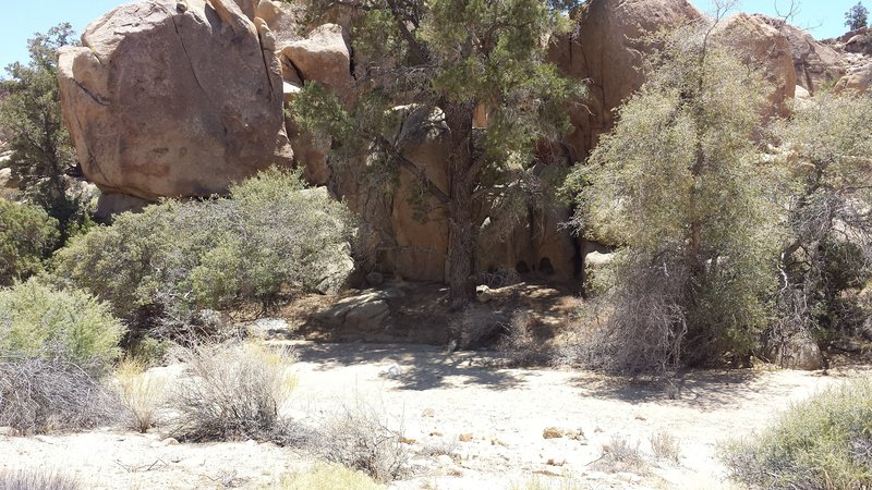 Beautiful shaded spot to stop and take in the surroundings.