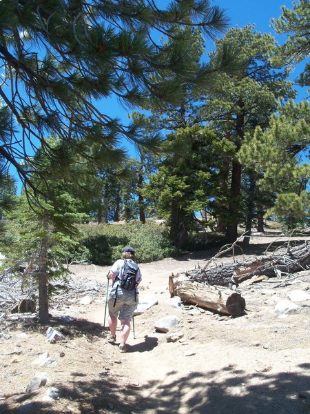 The trail is moderately shaded, with a steady, but easy grade.