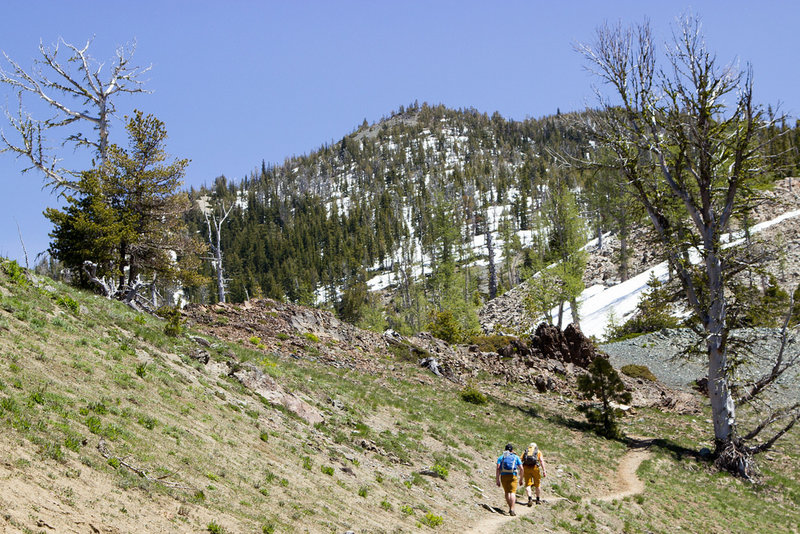 Almost to Navaho Pass with Navaho Peak on the horizon.