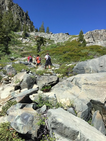 The most difficult stretch of the Mt Tallac Trail, heading straight up the wall of Cathedral Lake bowl.