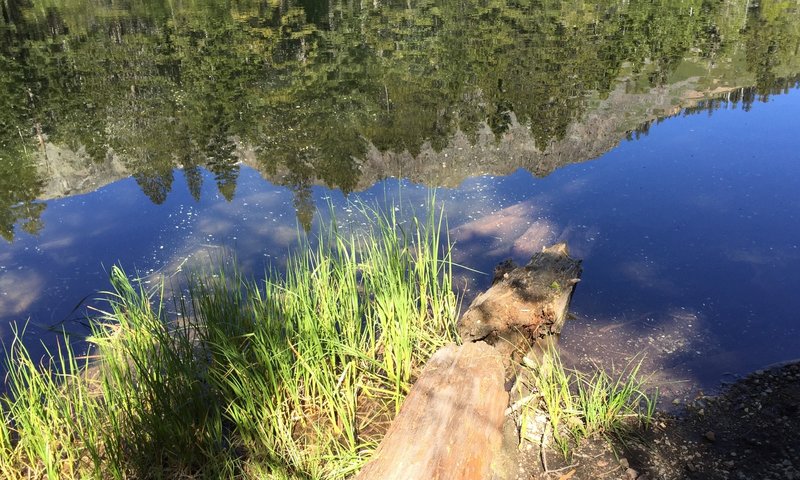 Mt. Tallac reflected in Floating Island Lake.