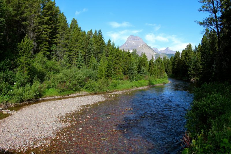 Swiftcurrent Creek and Mt. Wilbur.