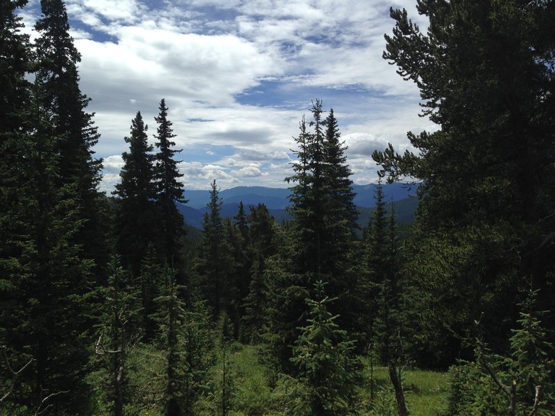 Looking south from the Tanglewood Trail.