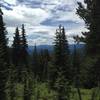 Looking south from the Tanglewood Trail.