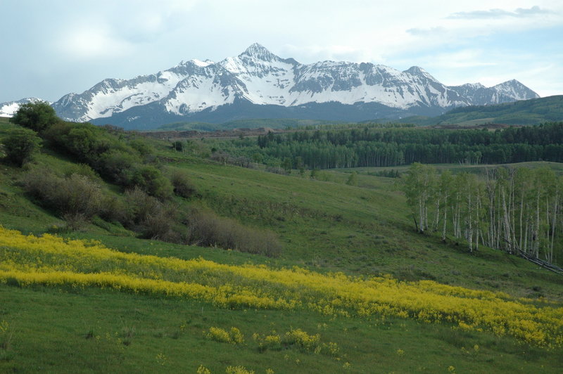 Looking south from Last Dollar Road near the trailhead.