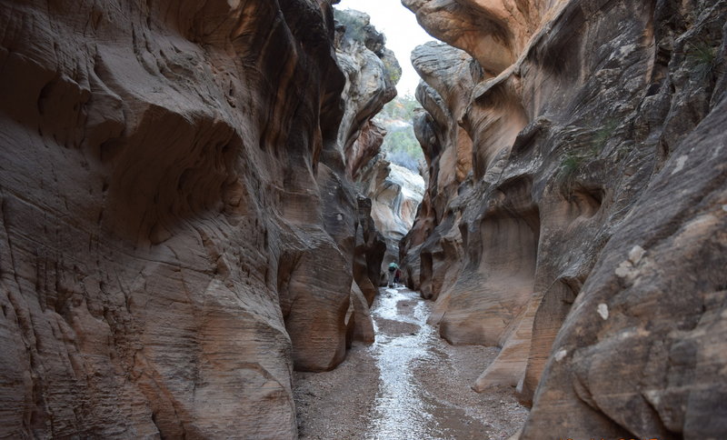 A view of the canyon.