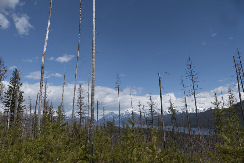 Looking towards Lake McDonald from the Apgar Mountain Horse Loop.