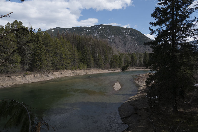 View of McDonald Creek from trail.