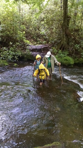 Creek crossing on Boogerman Trail.