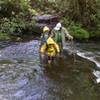 Creek crossing on Boogerman Trail.