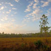 Long Pine Key Nature Trail, Everglades National Park.