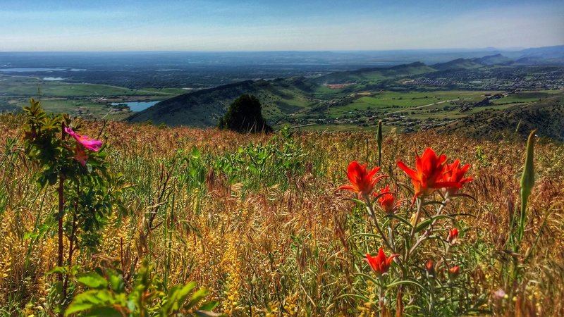 Looking SE toward the Hogback. Willow Springs in the upper right.