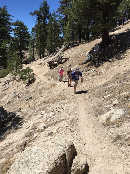 Heading up the switchbacks on Waterman Mountain