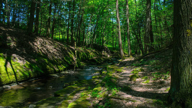 Water Gap at Van Campens Brook.