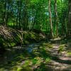 Water Gap at Van Campens Brook.