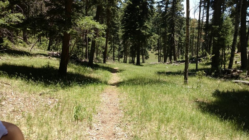 T124 leading up to the western trailhead.