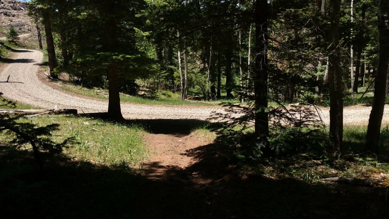 The trail continues on the other side of this road that leads to the gravel pit.