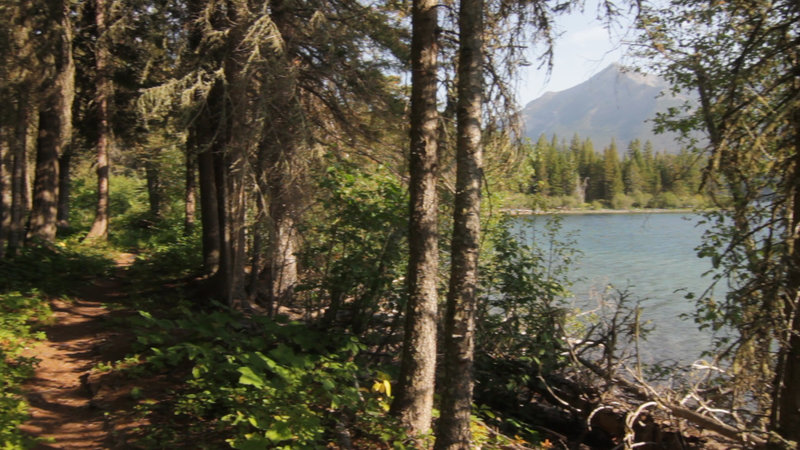 Waterton Lake Trail and bay along the lake.