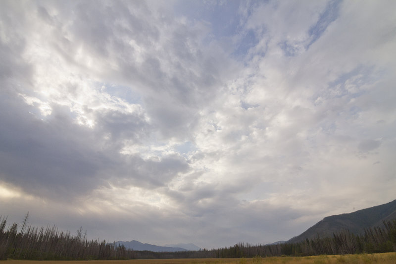 Looking across McGee Meadow.