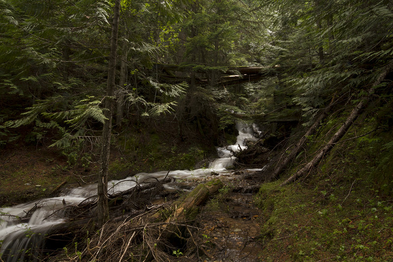 Small creek along Snyder Ridge trail.