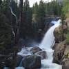 Alberta Falls in mid June.