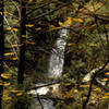 Raymondsville Falls through the autumn foliage. Photo taken and copyrighted by Hank Waxman. Used with permission.