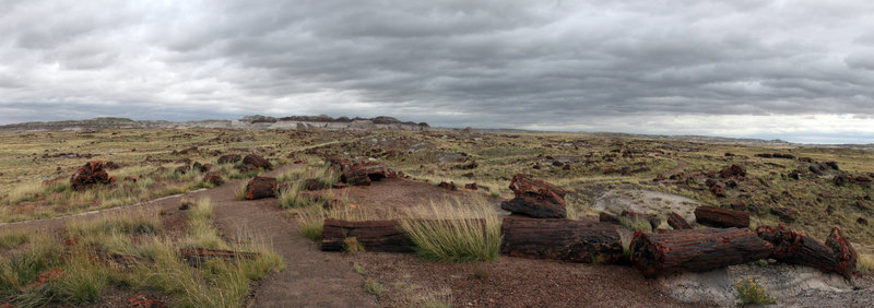 Log-scape.