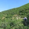 There are open stretches along the trail with BIG views.