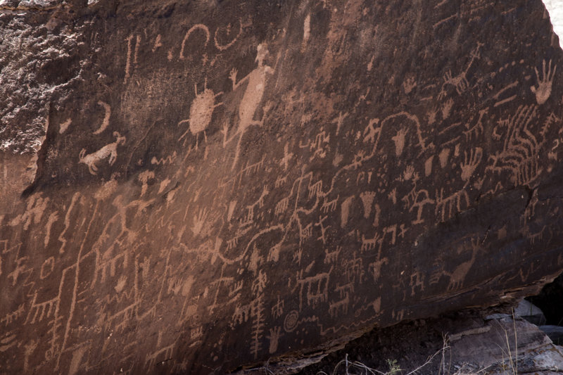 Petrified Forest petroglyphs at Newspaper Rock.