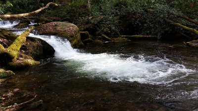 Beautiful view of Hazel Creek dumping into a large pool.