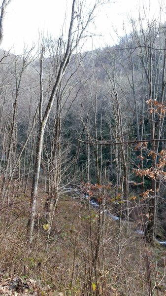 View from the switchbacks at the northern section of Hazel Creek Trail.