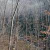 View from the switchbacks at the northern section of Hazel Creek Trail.