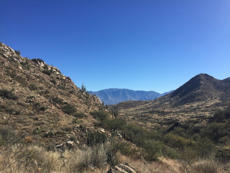 Looking towards the Catalina Mountains from atop the Tortolitas.