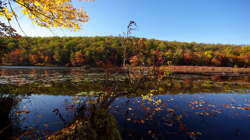 Catfish Pond in the fall. with permission from Jean Drescher