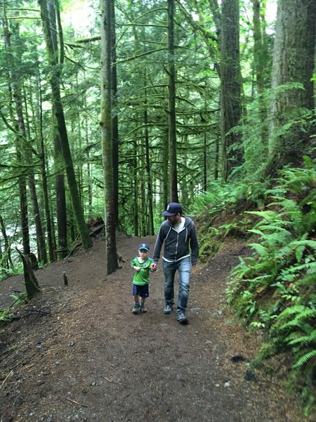 Heading up Twin Falls Trail.