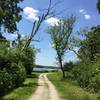 North Shore Trail.