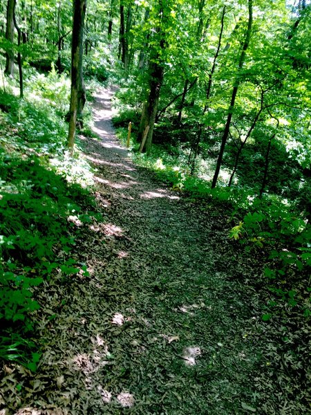 North Snowmobile Trail...at about this spot there's an intersecting trail that goes down to an unofficial beach.